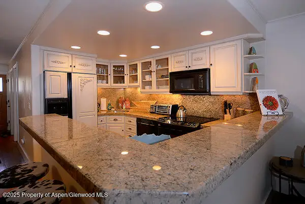 800 E Hopkins Avenue #A-1, Aspen, CO 81611