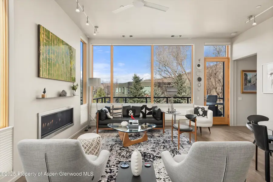 103 Willits Way #204, Basalt, CO 81621 - Image #3