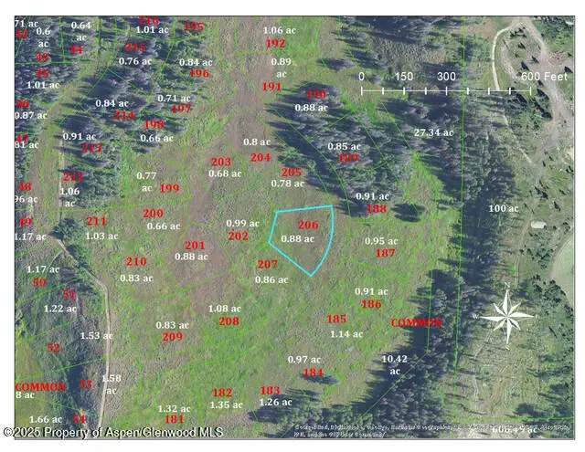 TBD Wiffle Tree Trail, Oak Creek, CO 80467 - Image #1