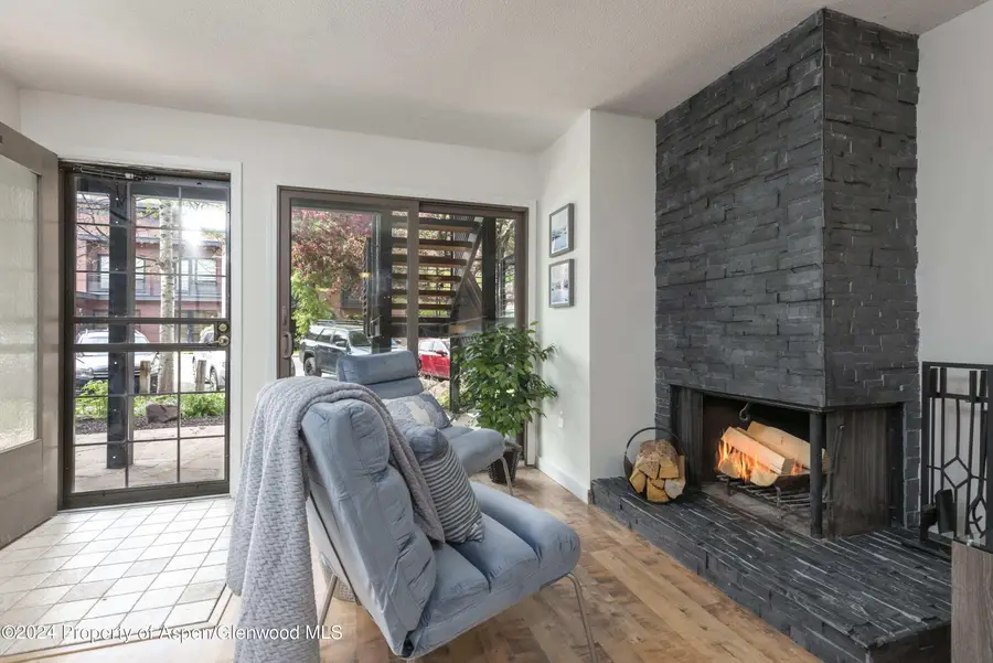 210 E Cooper Avenue #1C, Aspen, CO 81611 - Image #2