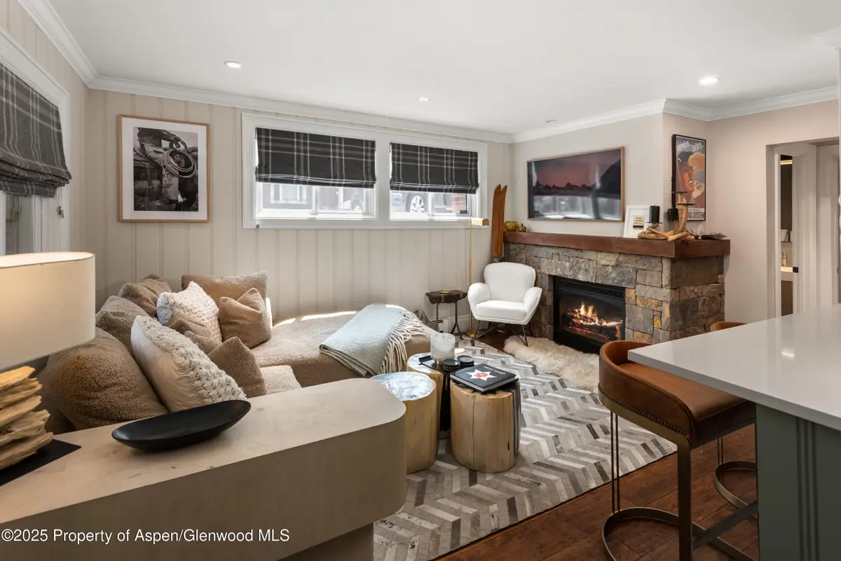 835 E Hyman Avenue #Unit D, Aspen, CO 81611 - Image #1