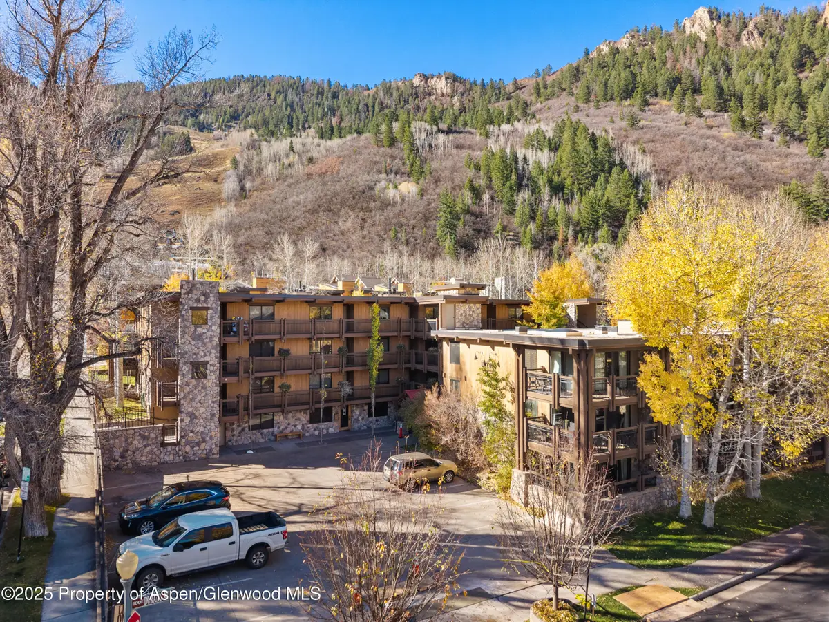 131 E Durant Avenue #202, Aspen, CO 81611 - Image #1