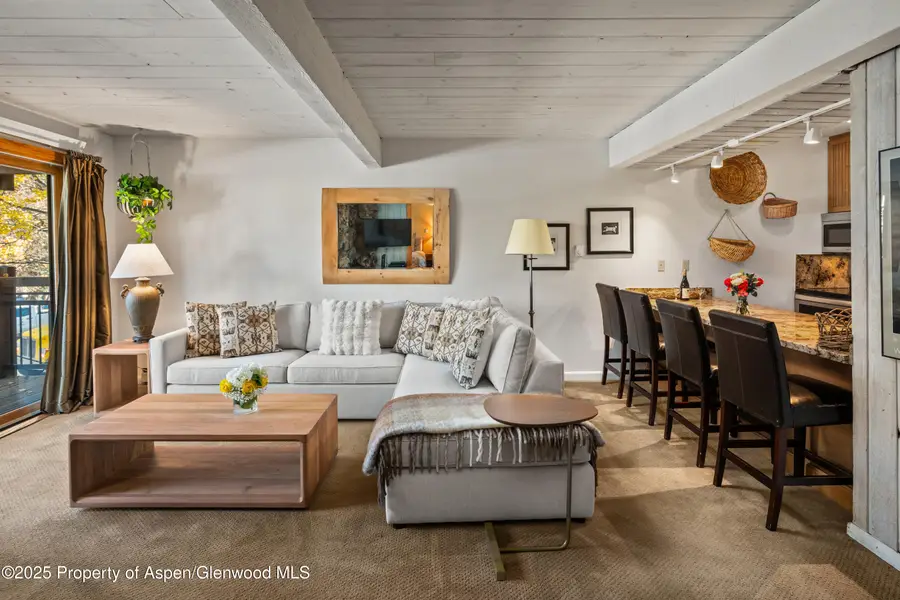 131 E Durant Avenue #202, Aspen, CO 81611 - Image #2