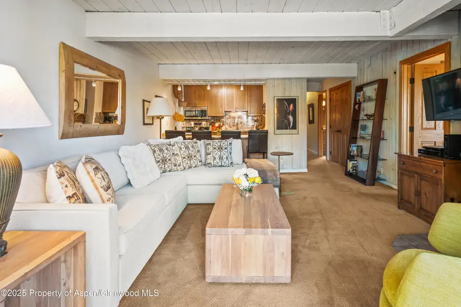131 E Durant Avenue #202, Aspen, CO 81611 - Image #3