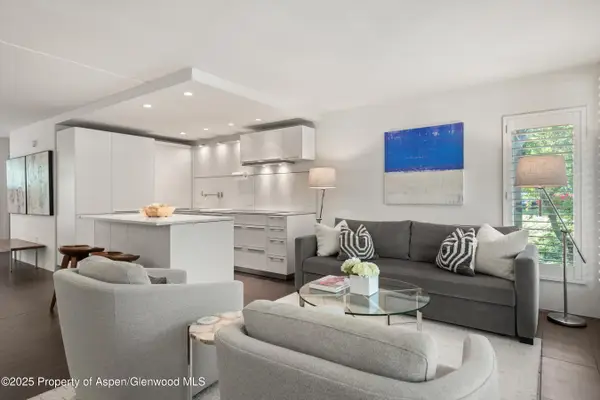 800 E Hopkins Avenue #A-3, Aspen, CO 81611