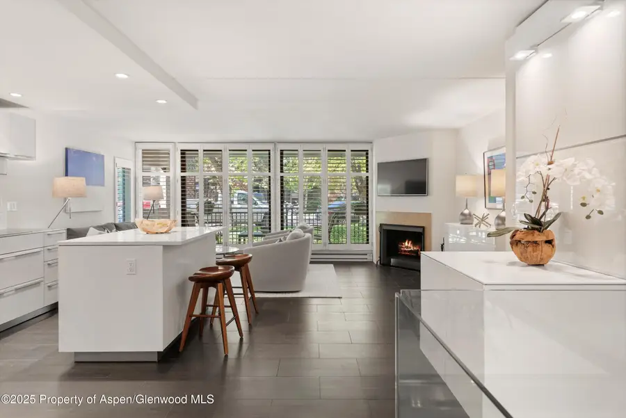 800 E Hopkins Avenue #A-3, Aspen, CO 81611 - Image #3