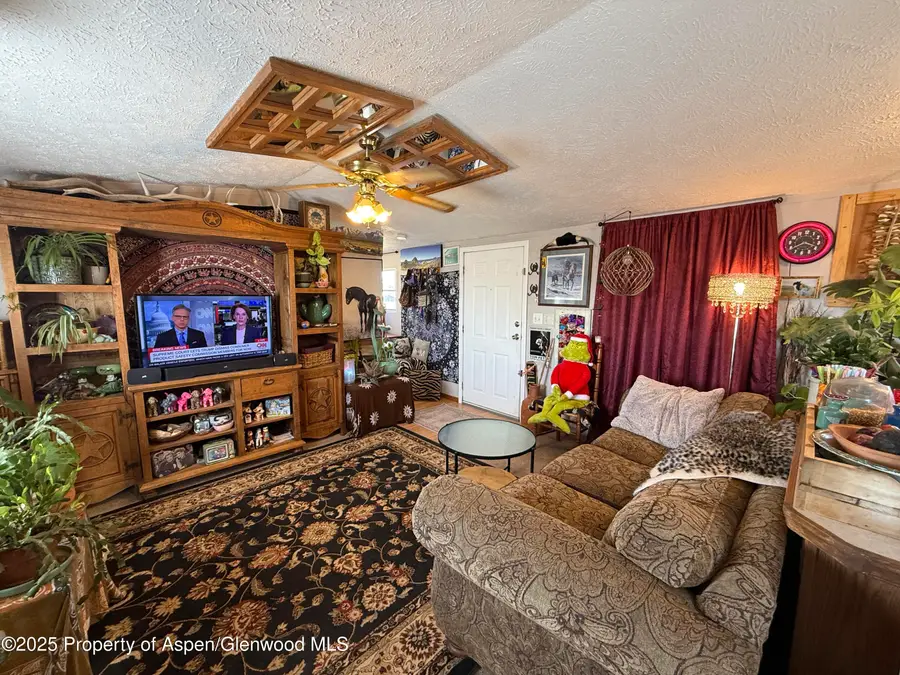 312 Ceratosaurus Circle, Dinosaur, CO 81610 - Image #3