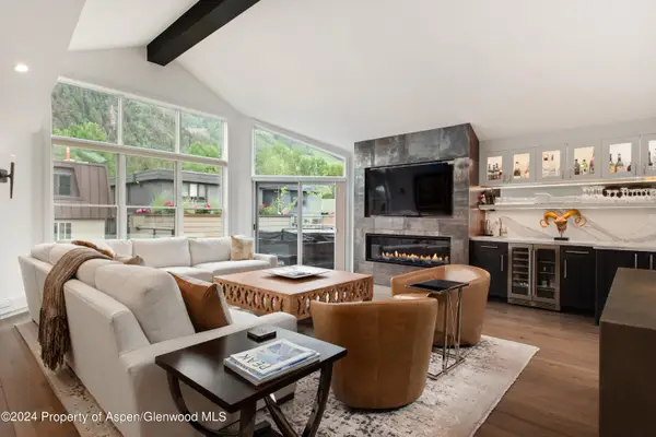 927 E Durant Avenue #3, Aspen, CO 81611