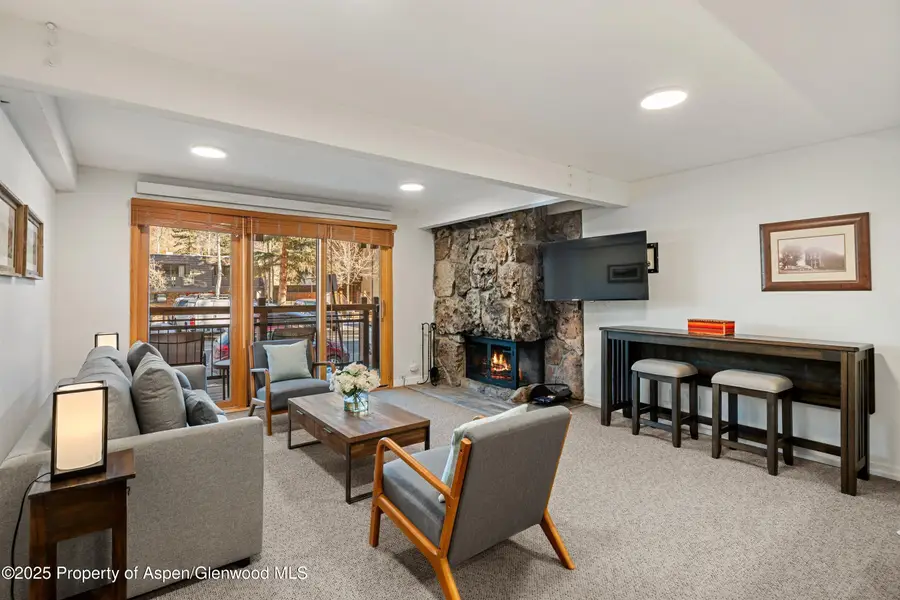 131 E Durant Avenue #104, Aspen, CO 81611 - Image #2