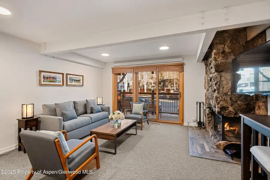 131 E Durant Avenue #104, Aspen, CO 81611 - Image #3