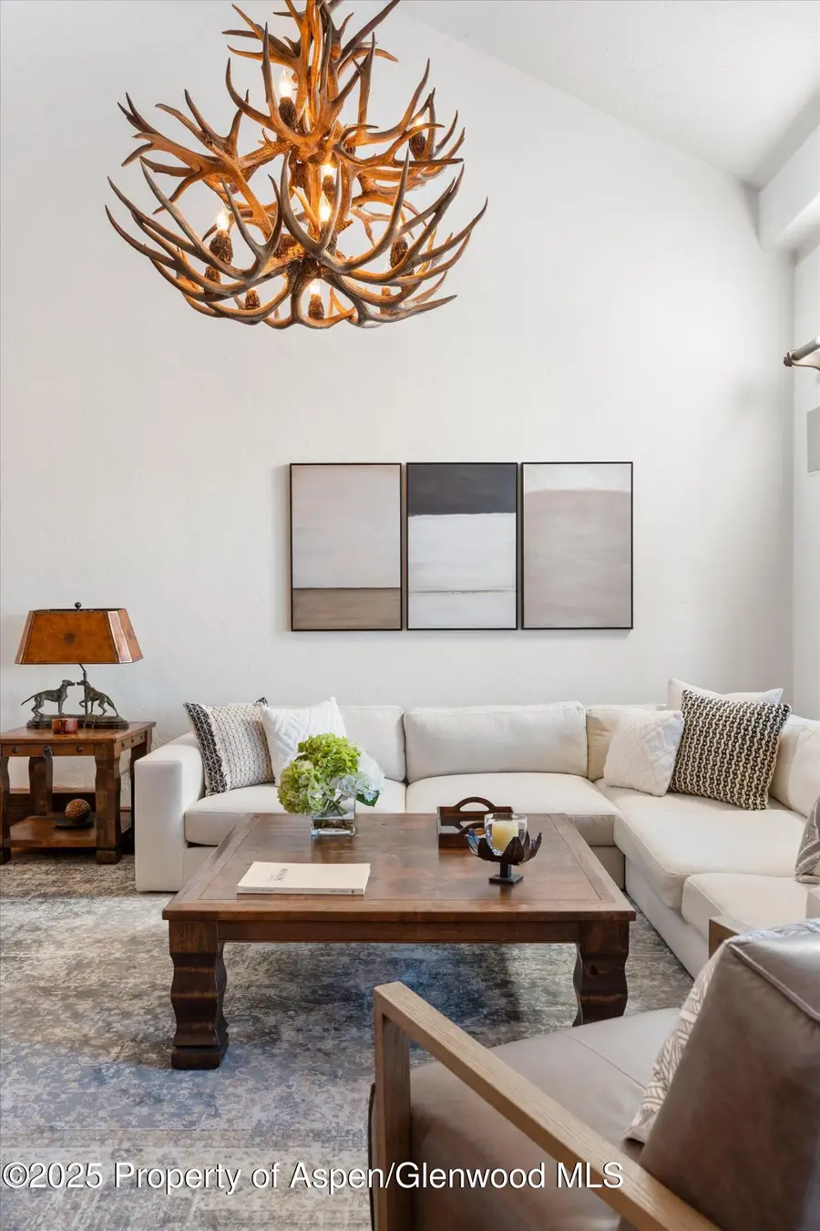 425 Wood Road #15 & 16, Snowmass Village, CO 81615 - Image #3