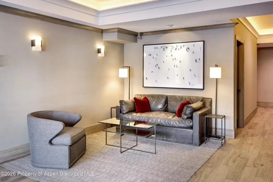 205 E Durant Avenue #1F, Aspen, CO 81611 - Image #2
