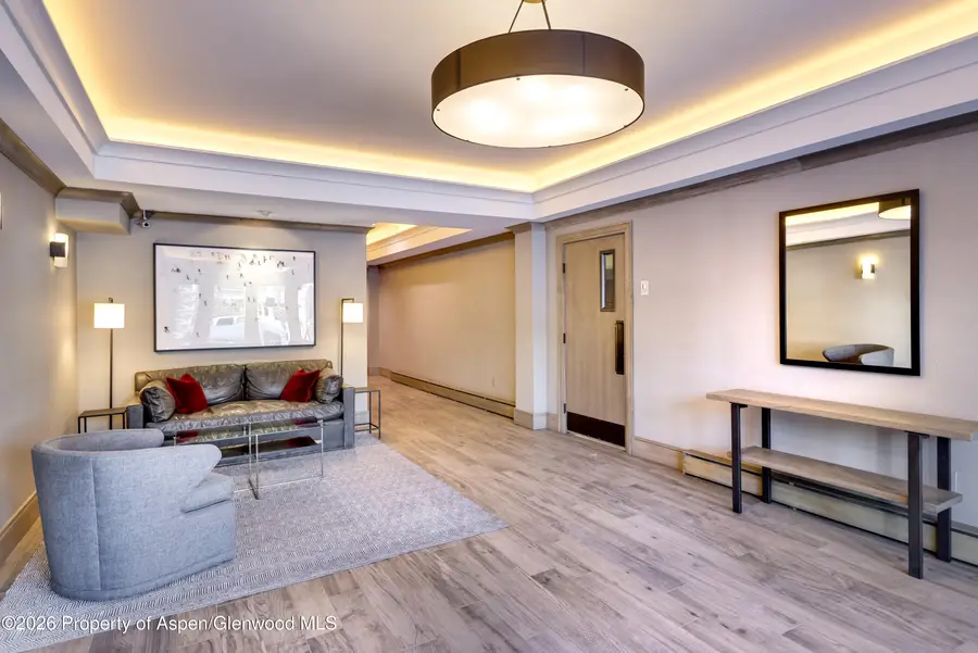 205 E Durant Avenue #1F, Aspen, CO 81611 - Image #3