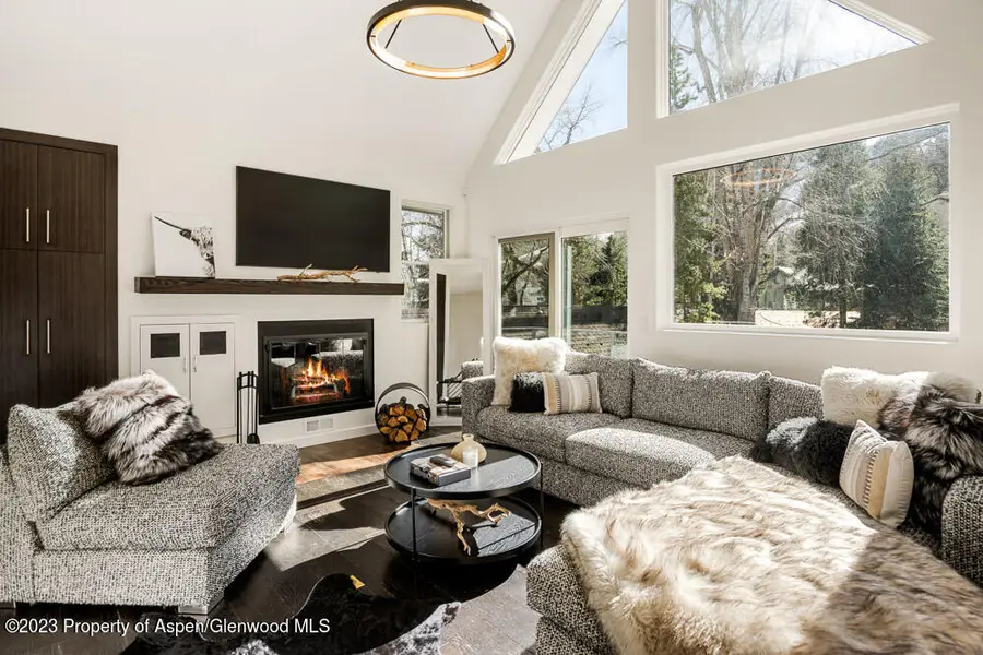 222 W Hopkins Avenue #6, Aspen, CO 81611 - Image #3