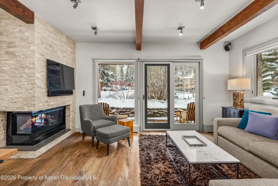 610 S West End Street #D103, Aspen, CO 81611 - Image #2