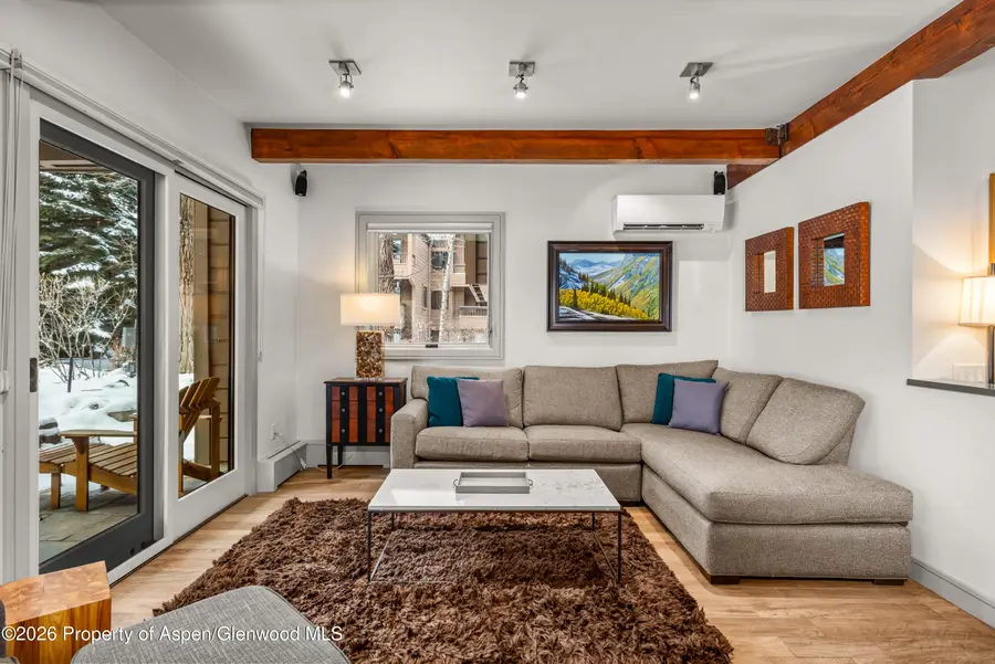 610 S West End Street #D103, Aspen, CO 81611 - Image #3