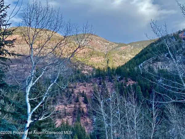 250 Elk Mountain Drive, Redstone, CO 81623