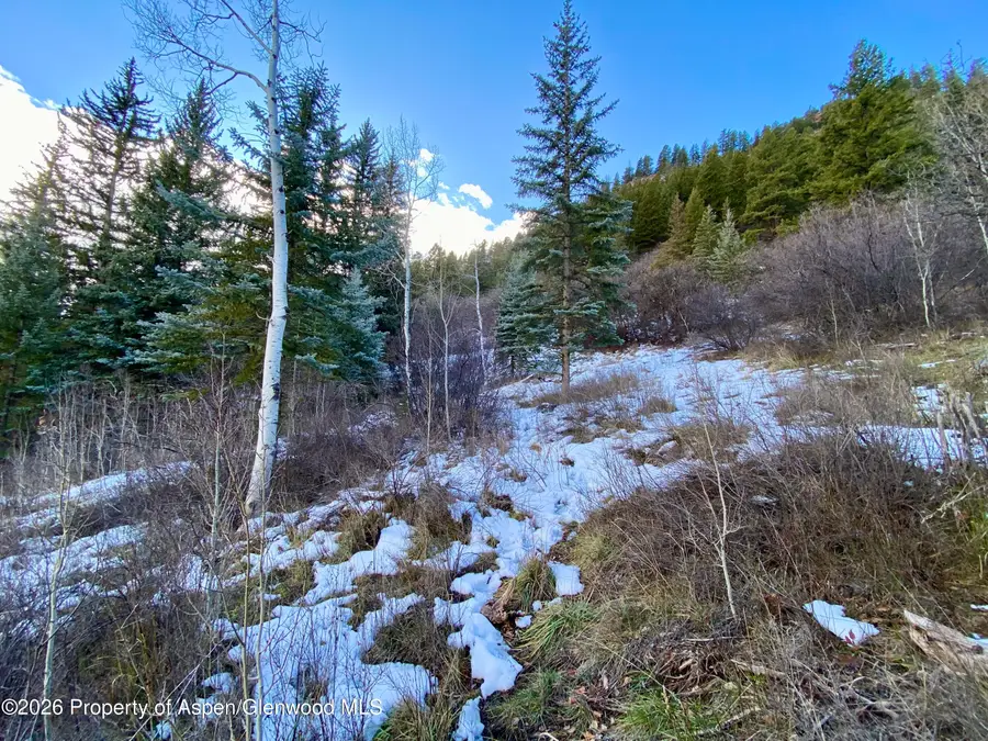 250 Elk Mountain Drive, Redstone, CO 81623 - Image #2
