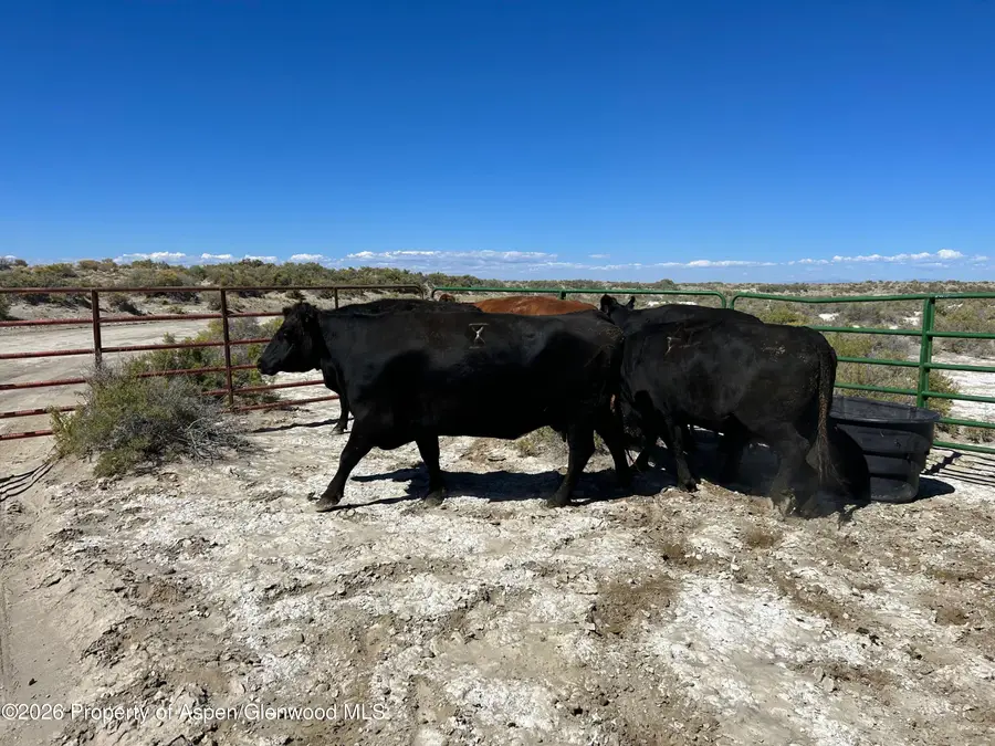 Tbd Alamosa County Parcel #5139301, Alamosa, CO 81101 - Image #2