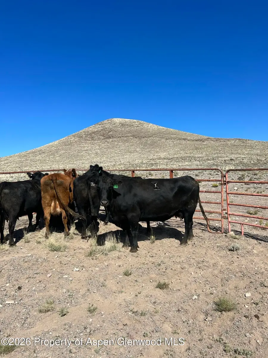 Tbd Costilla County Parcel #400022, Blanca, CO 81123 - Image #2