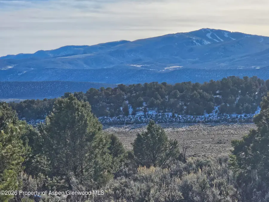 2993 Elk Springs Drive, Glenwood Springs, CO 81601 - Image #3