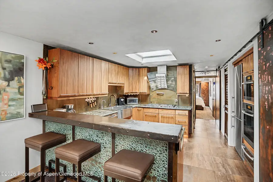 100 E Dean Street #3c, Aspen, CO 81611 - Image #2