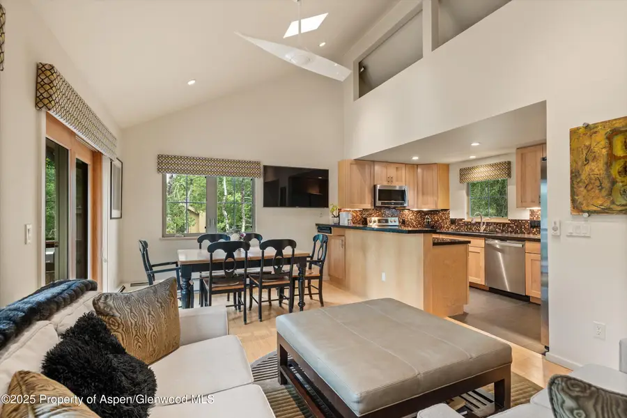 322 Park Avenue #Unit 1, Aspen, CO 81611 - Image #2