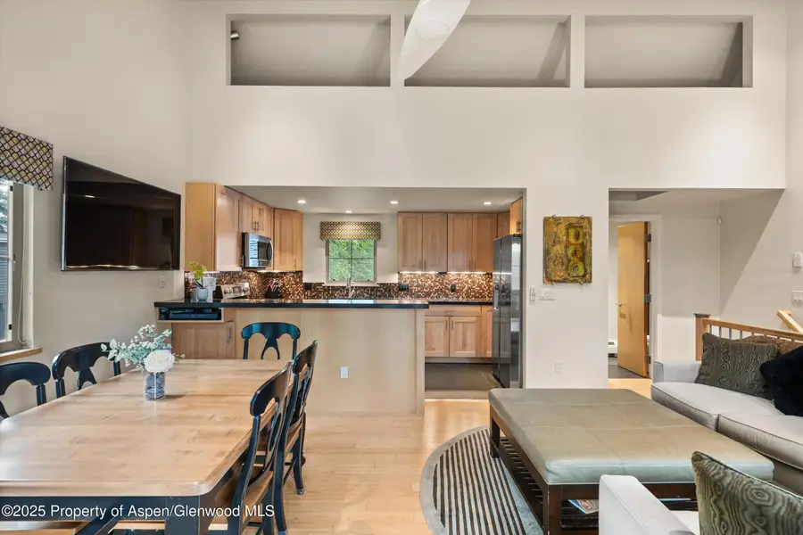 322 Park Avenue #Unit 1, Aspen, CO 81611 - Image #3