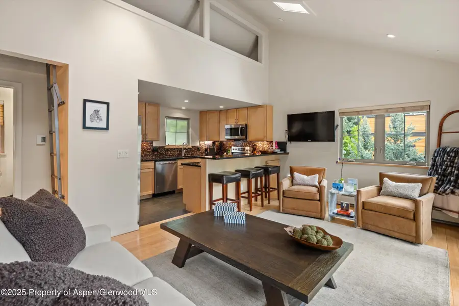 322 Park Avenue #Unit 2, Aspen, CO 81611 - Image #2