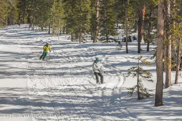 316 N Fuller Placer Road, Breckenridge, CO 80424