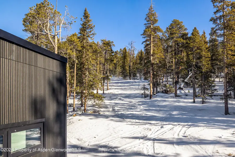 316 N Fuller Placer Road, Breckenridge, CO 80424 - #2