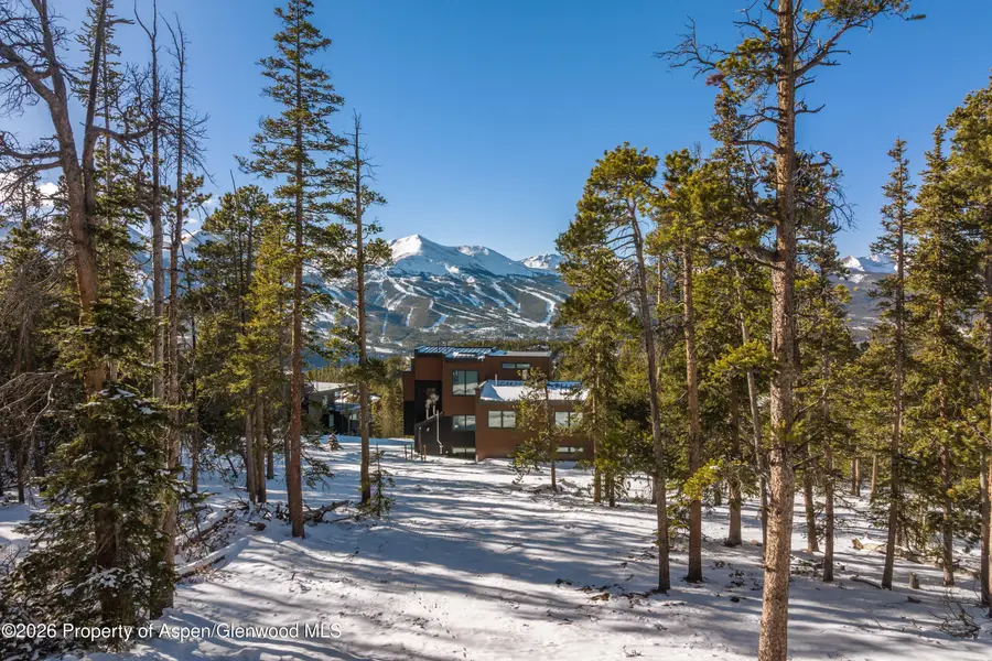 316 N Fuller Placer Road, Breckenridge, CO 80424 - #3