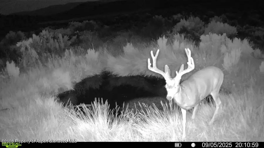 Tbd Cr 7, Meeker, CO 81641 - #2