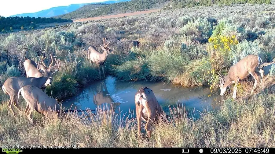 Tbd Cr 7, Meeker, CO 81641 - #3