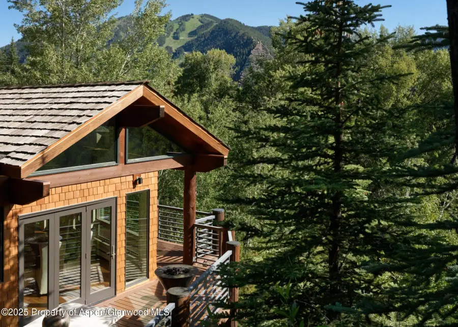 153 Herron Hollow Road, Aspen, CO 81611 - #3