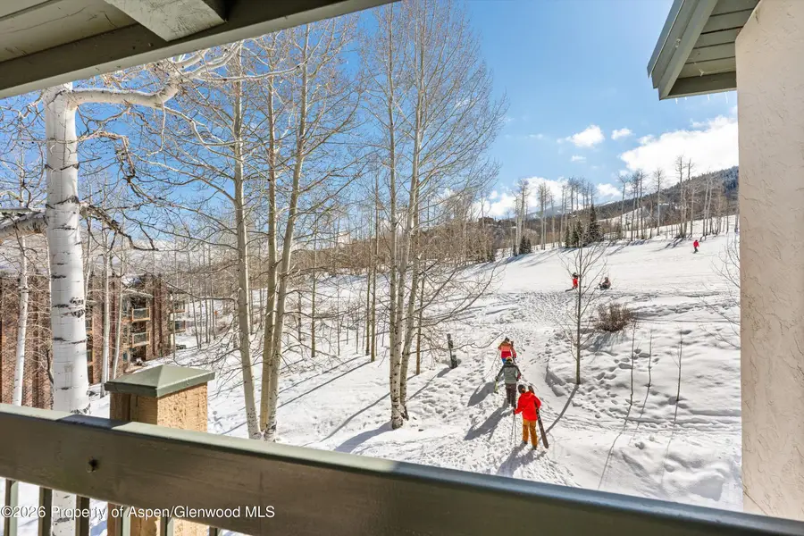 855 Carriage Way #303, Snowmass Village, CO 81615 - #2