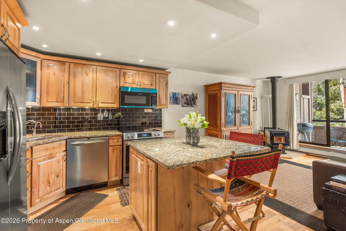 236 Vine Street, Aspen, CO 81611 - #1