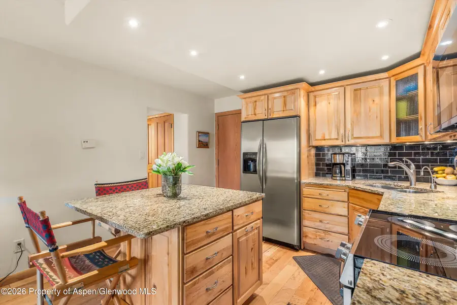 236 Vine Street, Aspen, CO 81611 - #2
