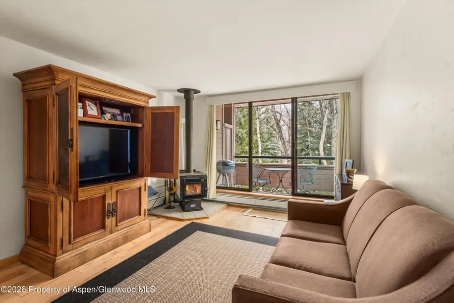 236 Vine Street, Aspen, CO 81611 - #3