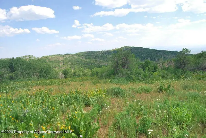 Tbd County Road 11, Craig, CO 81625 - #2