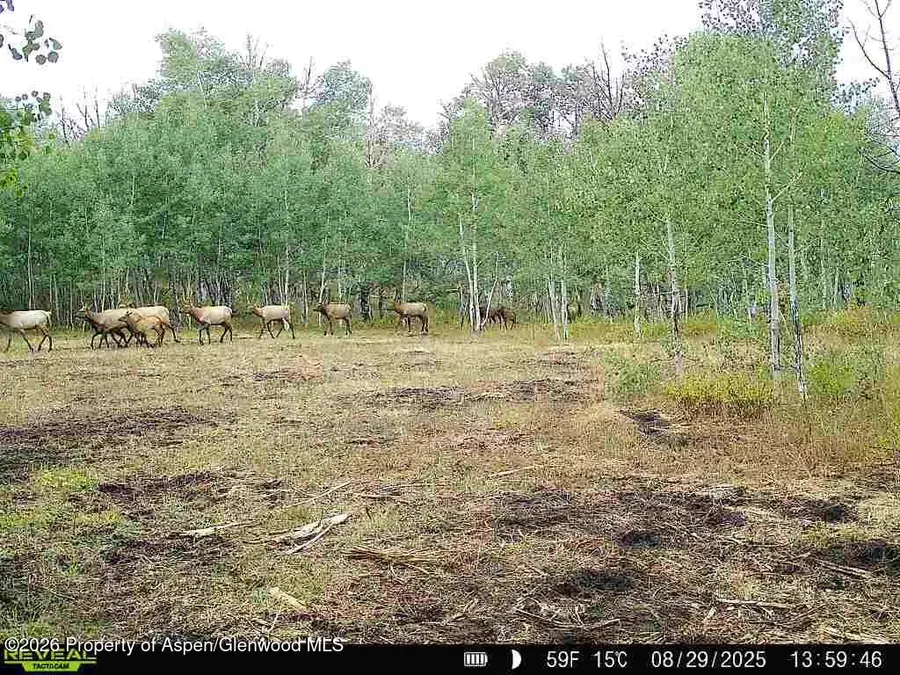 Tbd County Road 11, Craig, CO 81625 - #3