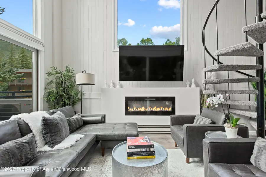 1024 E Cooper Avenue #2, Aspen, CO 81611 - #3