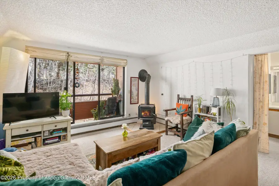 1325 Vine Street, Aspen, CO 81611 - #2