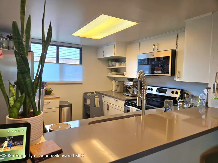 681 S 2nd Street #G, Carbondale, CO 81623 - #3