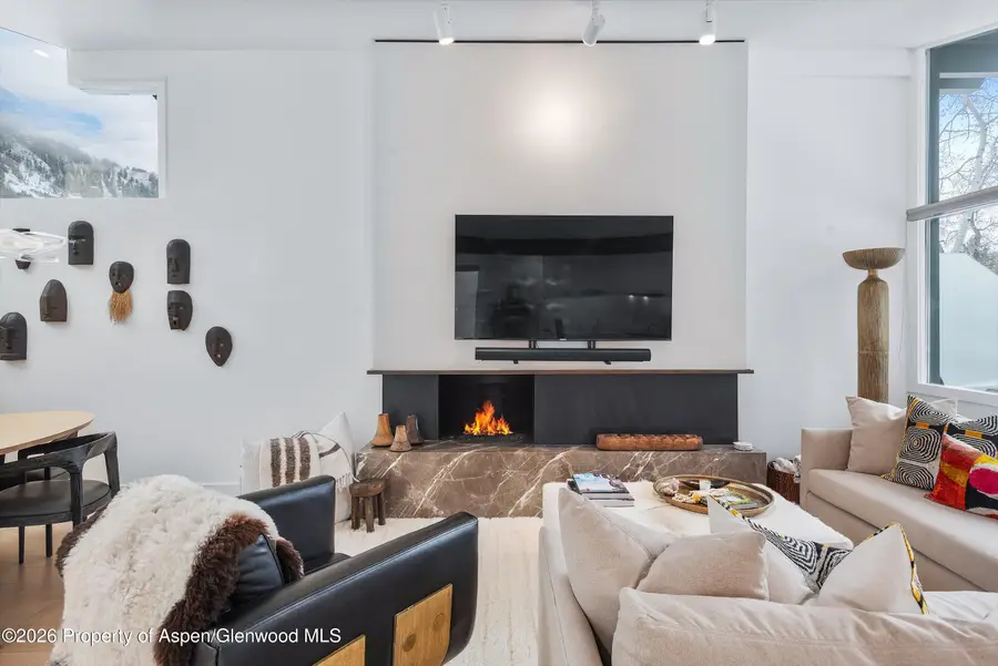 1001 E Cooper Avenue #1, Aspen, CO 81611 - #2