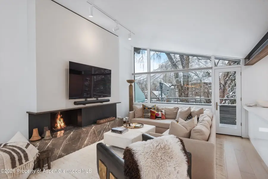 1001 E Cooper Avenue #1, Aspen, CO 81611 - #3