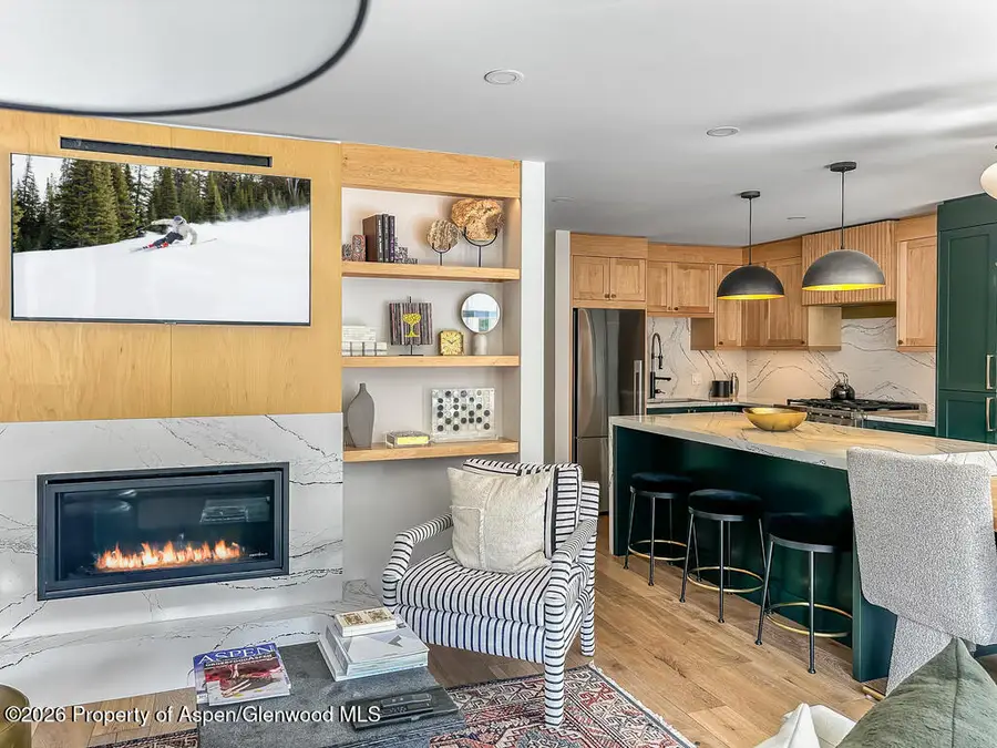 803 E Durant Avenue #8, Aspen, CO 81611 - #2