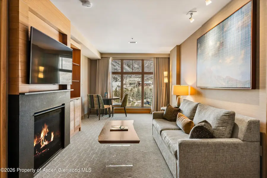 130 Wood Road #535, Snowmass Village, CO 81615 - #2