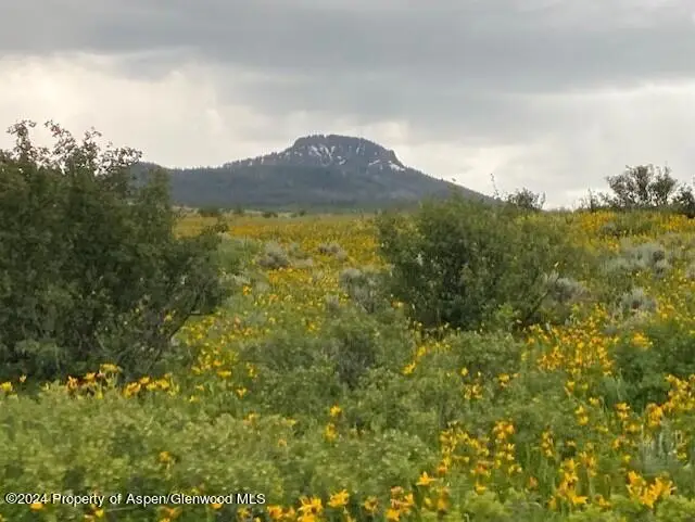 196 Eagle Loop, Craig, CO 81625 - #1