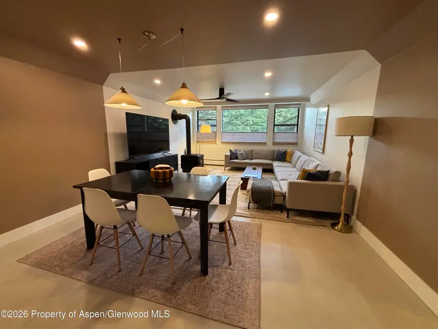 907 Vine Street, Aspen, CO 81611 - #2